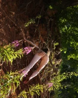 Amour Angels - 66-Amour-Angels-0102