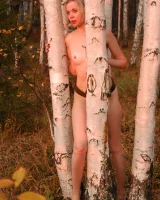 ATK Hairy - 36-olg004OLE_157953092