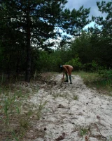 Atomic Sweet - 16-2007-08-26-Candy-Blue-Stockings-(x148)_030