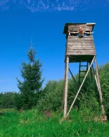 Erotic Beauty - 83-EB_Presenting-Mia-Sollis_Mia-Sollis_by_Peter-Guzman_high_0097