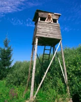 Erotic Beauty - 84-EB_Presenting-Mia-Sollis_Mia-Sollis_by_Peter-Guzman_high_0098