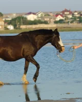 Girls in Nature - 10-0020