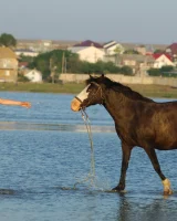 Girls in Nature - 14-0024