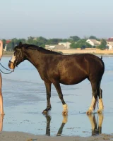 Girls in Nature - 19-0031