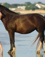 Girls in Nature - 23-0038