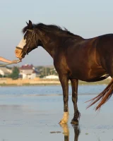Girls in Nature - 39-0063