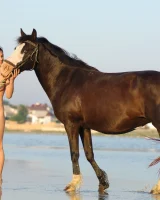 Girls in Nature - 40-0064