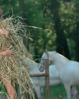 Met Art - 83-MetArt_Duchess_Alena-I_by_Chepurnoy_high_0096